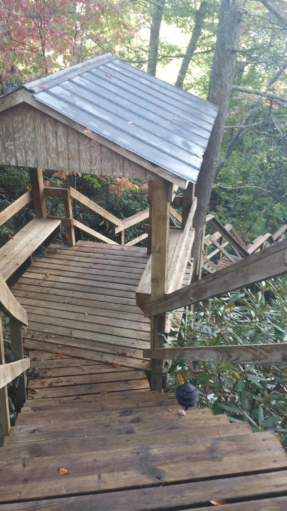 Metal roofed shelter over wooden steps on a wooded walkway — Skylight Repair & Installation work by our crew in Ravenel